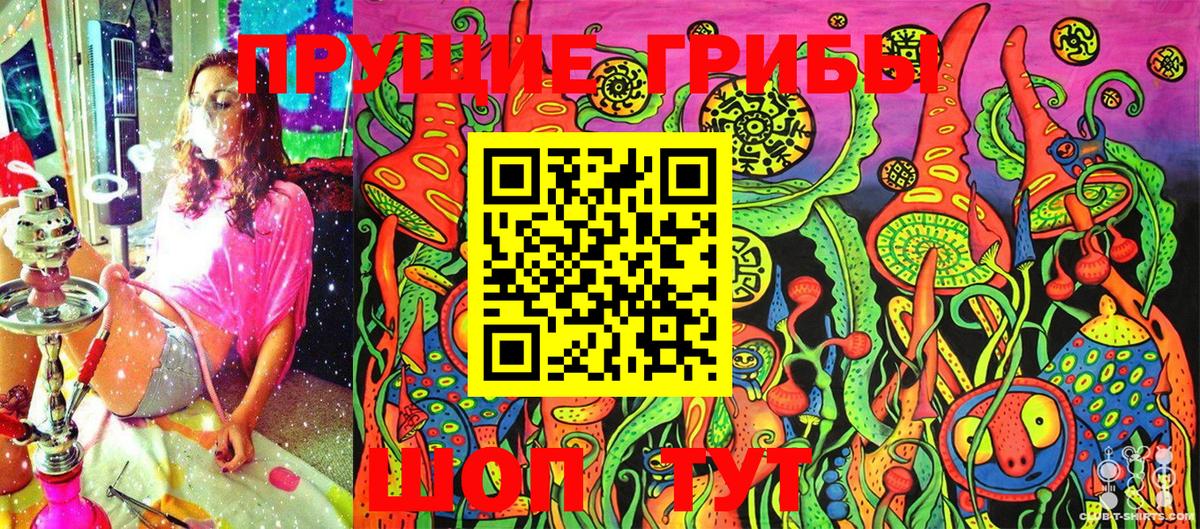 Псилоцибиновые грибы Psilocybe Железноводск